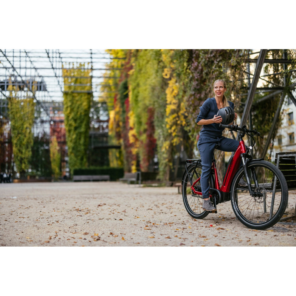 FLYER Gotour 3 7.43 Bicicleta Eléctrica Urbana Panasonic GX Power Plus 630Wh 2023 - Imagen 5