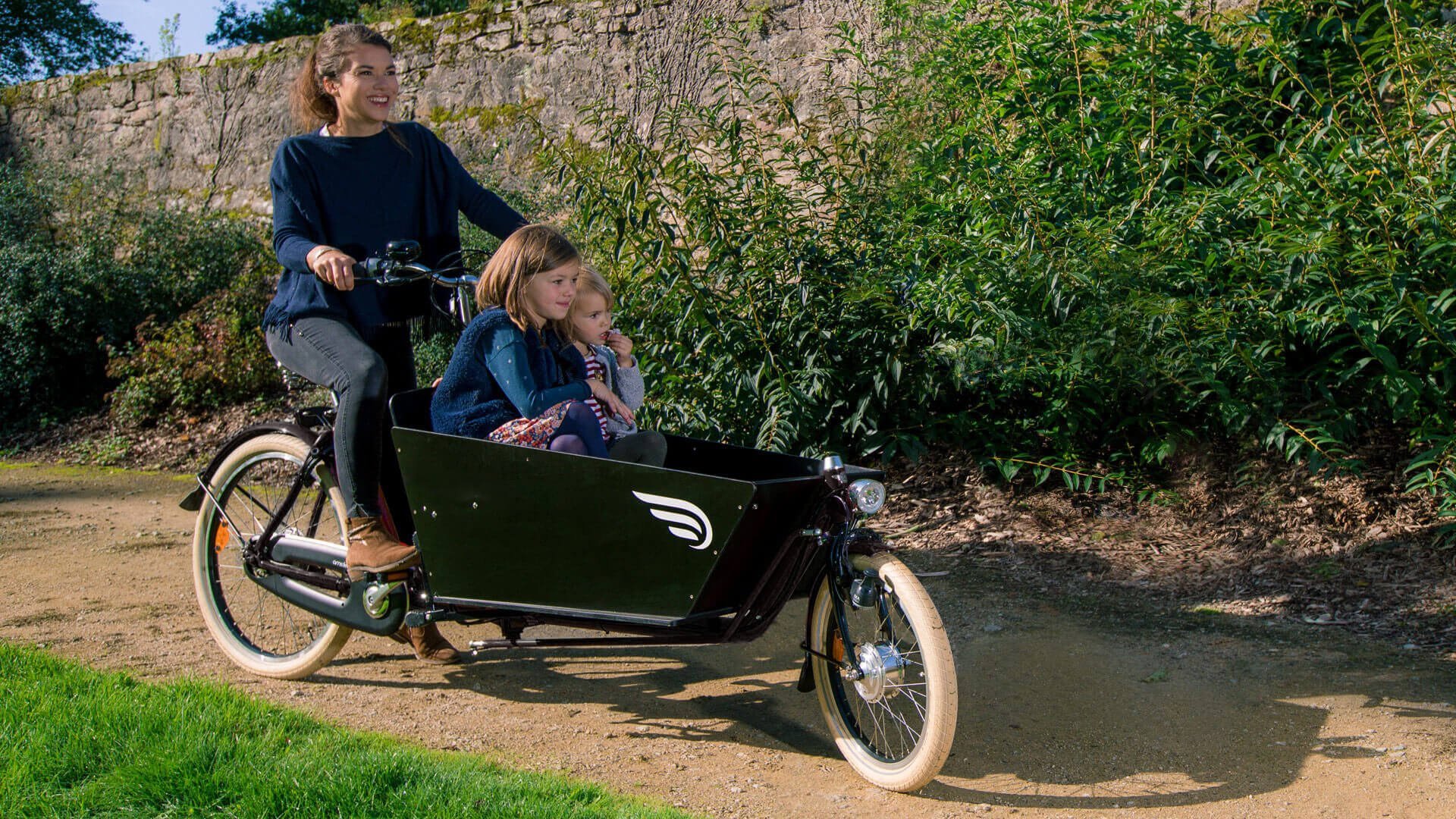 Bicicleta de carga eléctrica Amsterdam Air Biporteur - Imagen 5