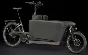 Trek Fetch+ 4 2025 Bicicleta eléctrica de carga Bosch Cargo Line Smart System 750 Wh Enviolo