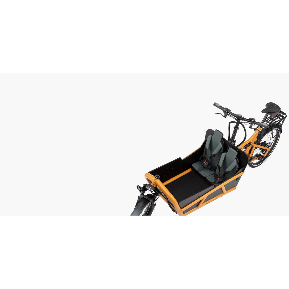 Riese & Müller Load4 75 Vario Bicicleta Cargo Eléctrica Bosch Cargo Line Smart System 2025 - Imagen 2